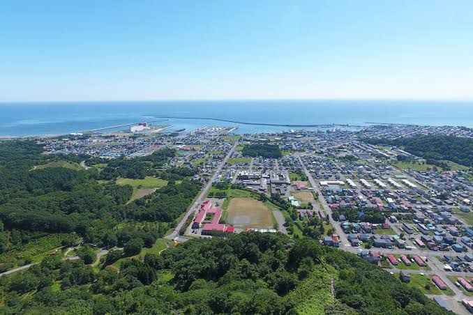 上空から見た広尾町の市街地と広尾港、太平洋